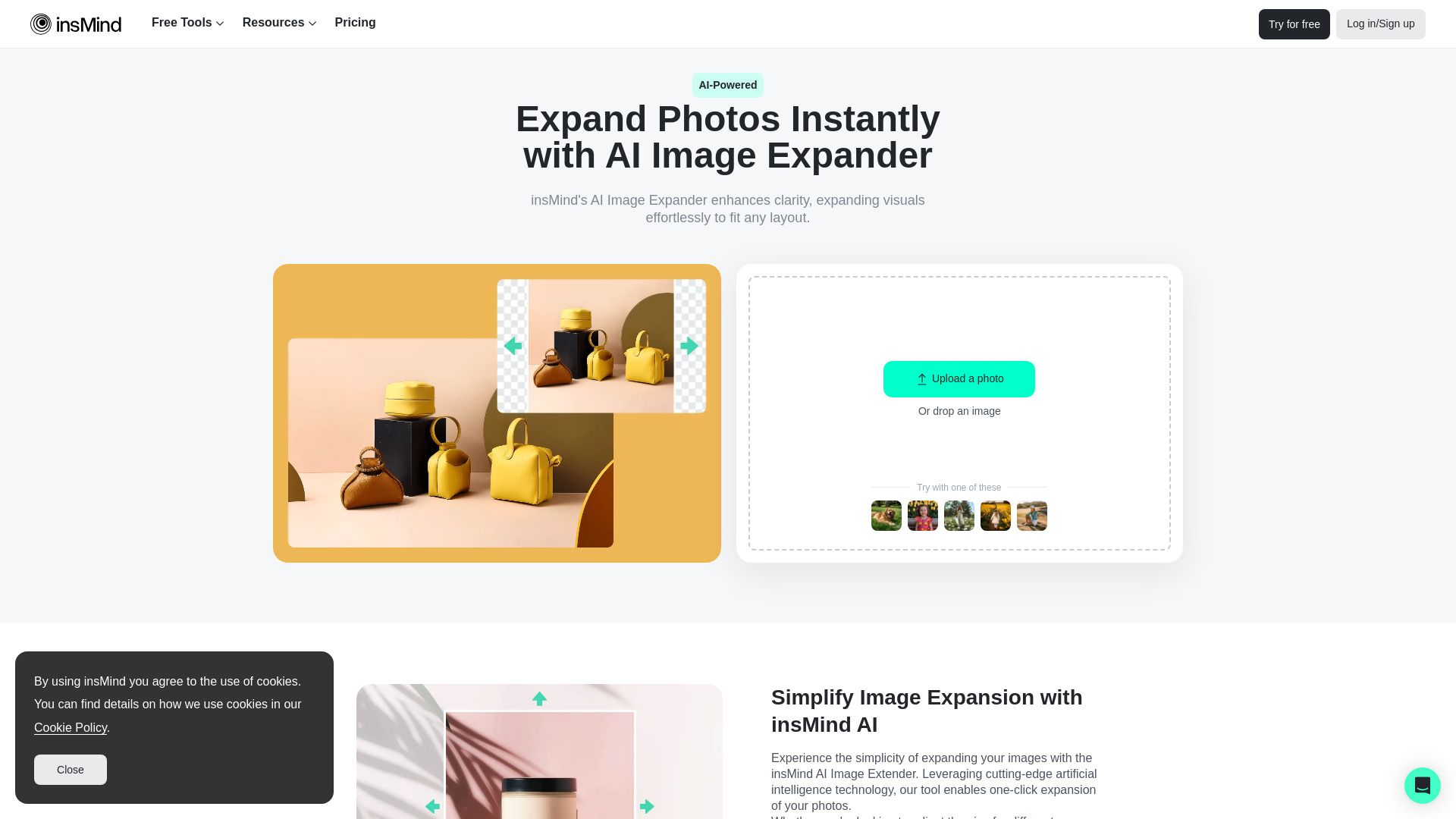 insMind AI Image Expander image