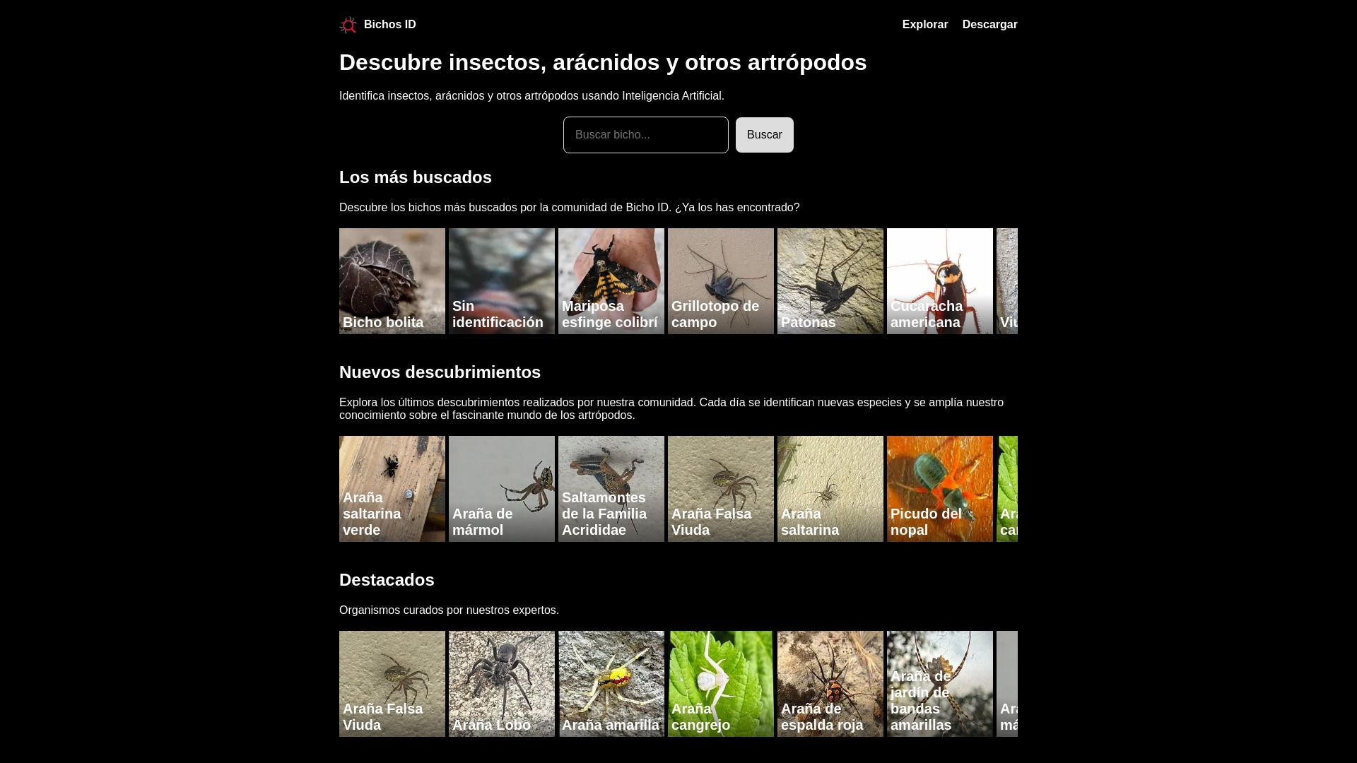 Bichos ID image