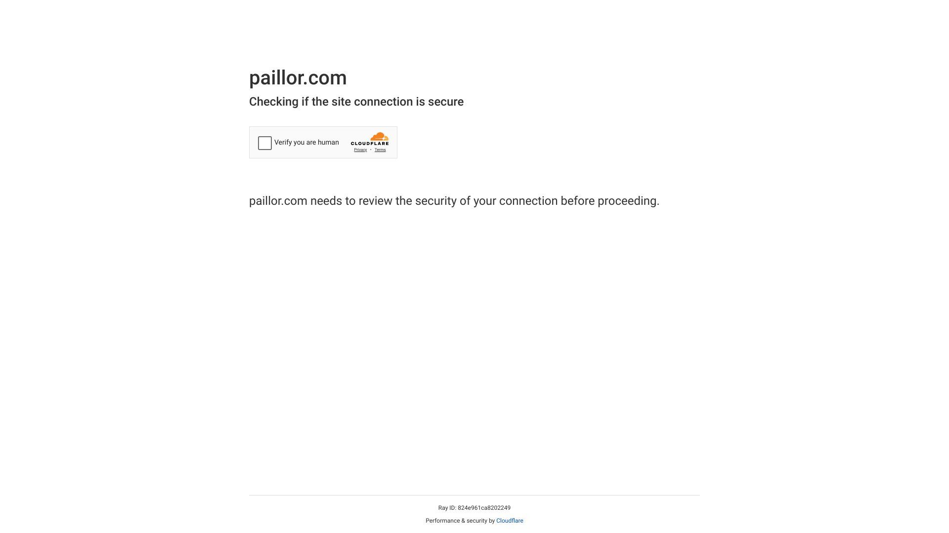 Paillor image