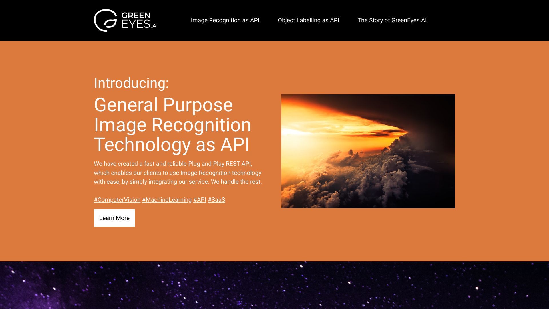 GreenEyes.AI - Computer Vision APIs and Products - GreenEyes Artificial Intelligence Services, LLC. image