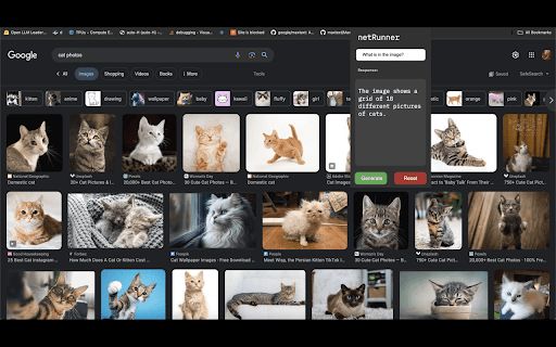 Vision-Enabled Language Model Extension image