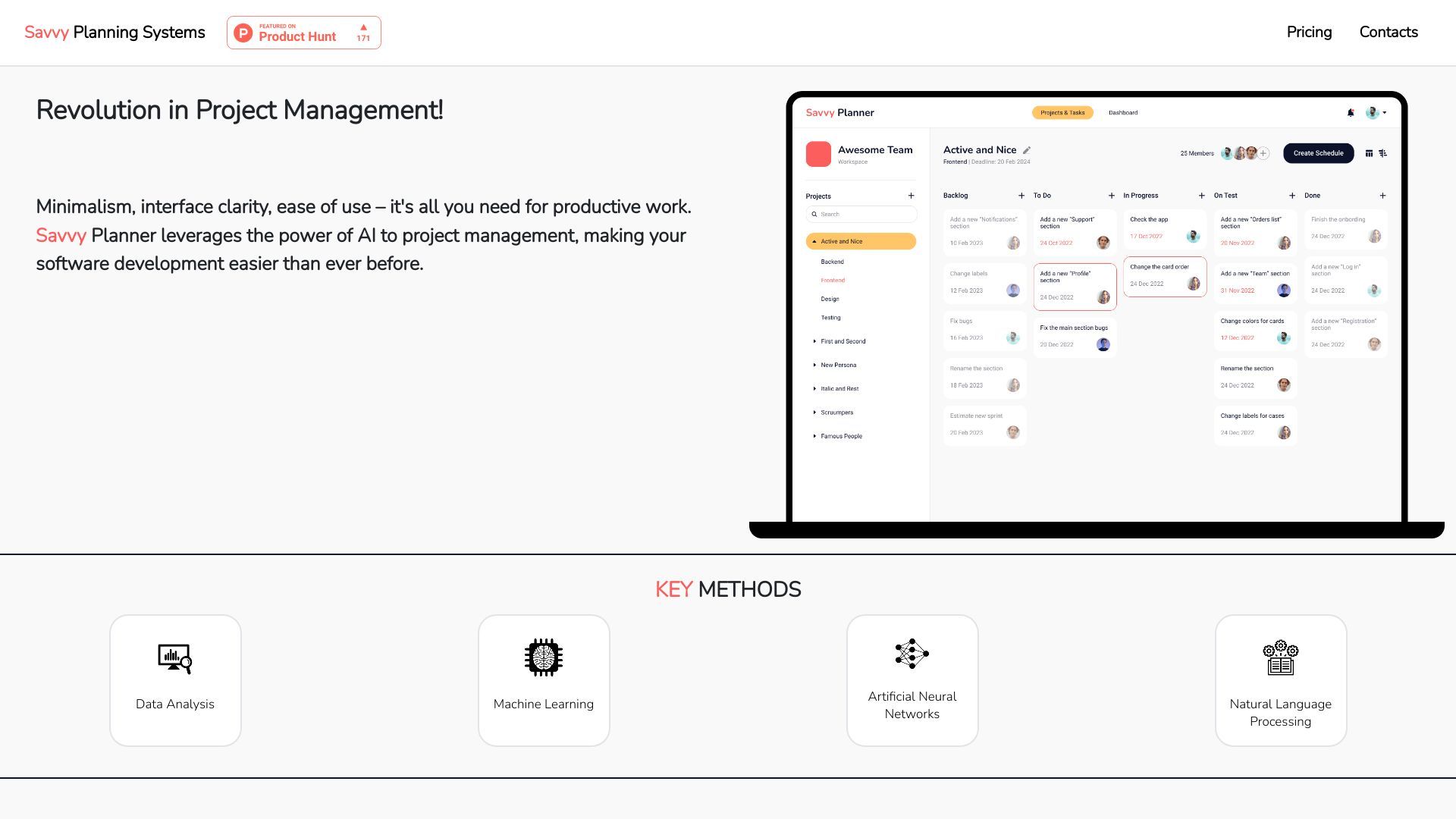 Savvy Planning Systems image
