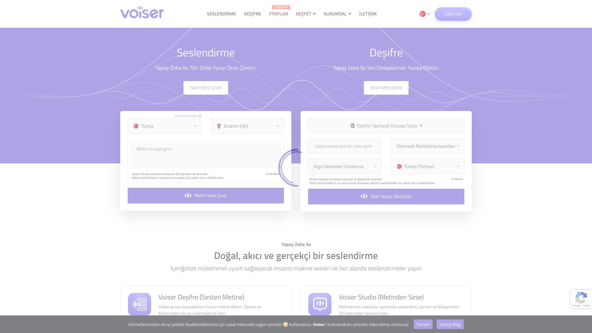 Voiser image
