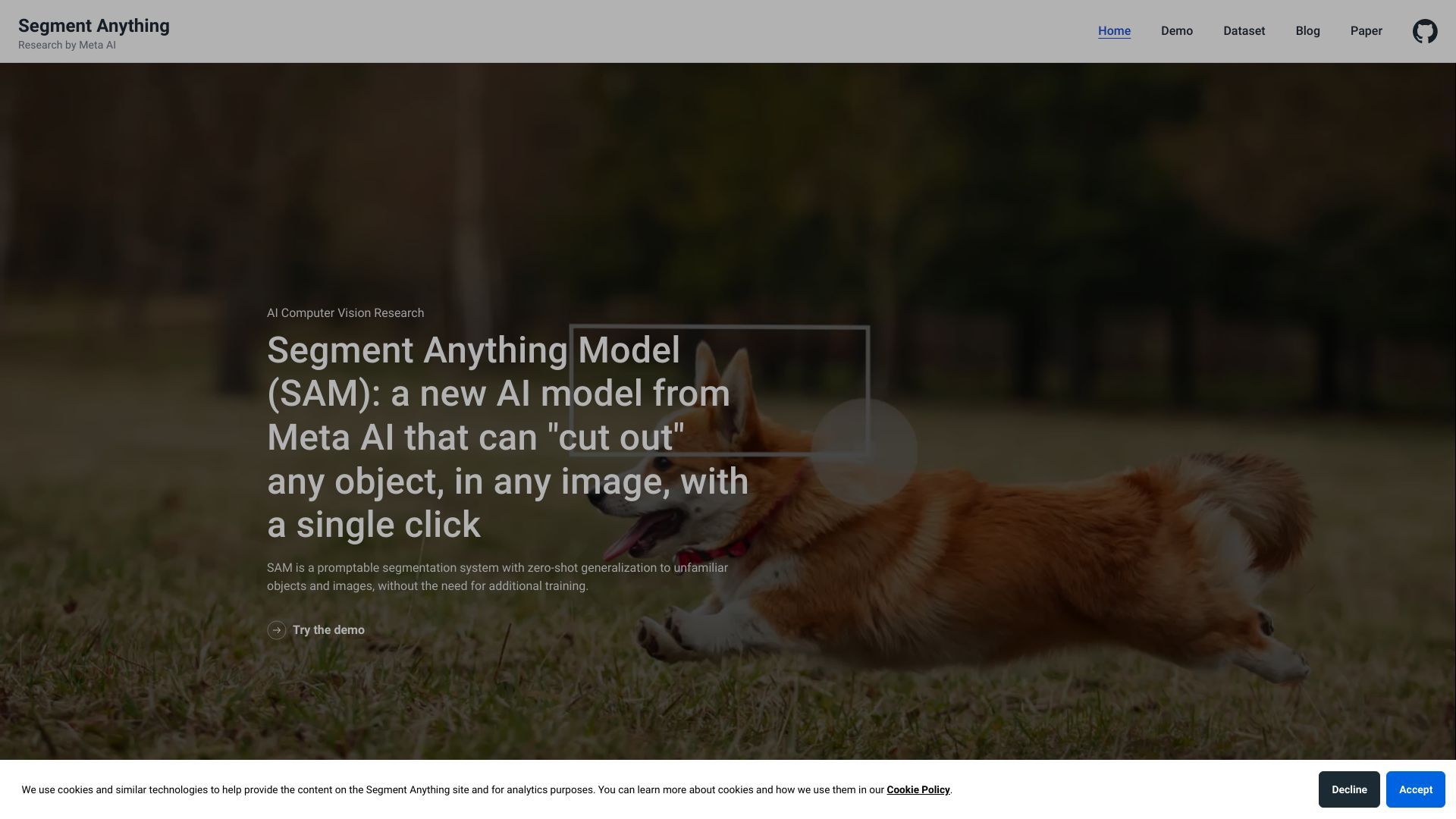 Segment Anything image