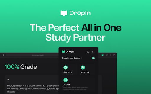 DropIn image
