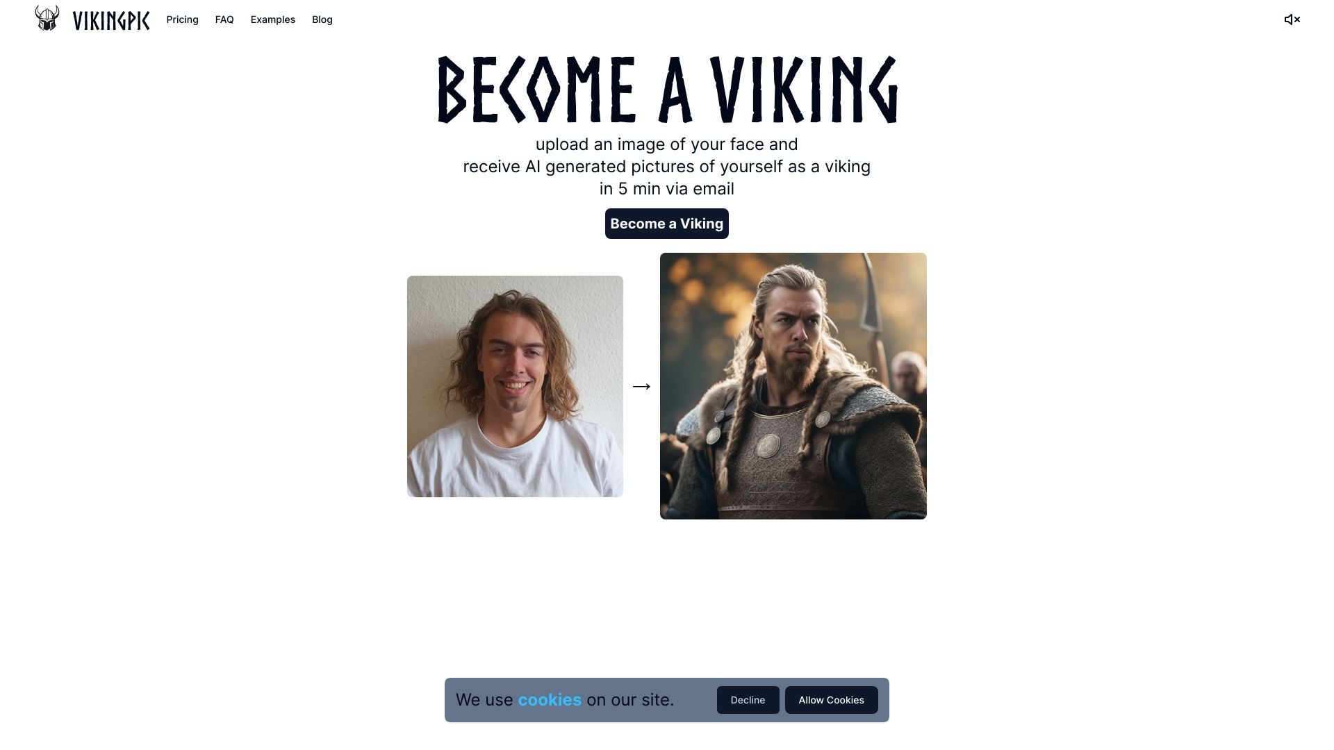 VikingPic image