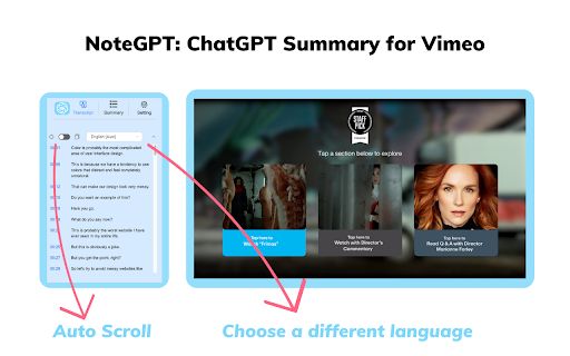 Vimeo Summary Generator image