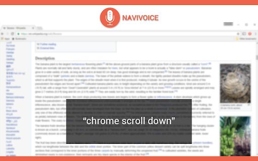NaviVoice image
