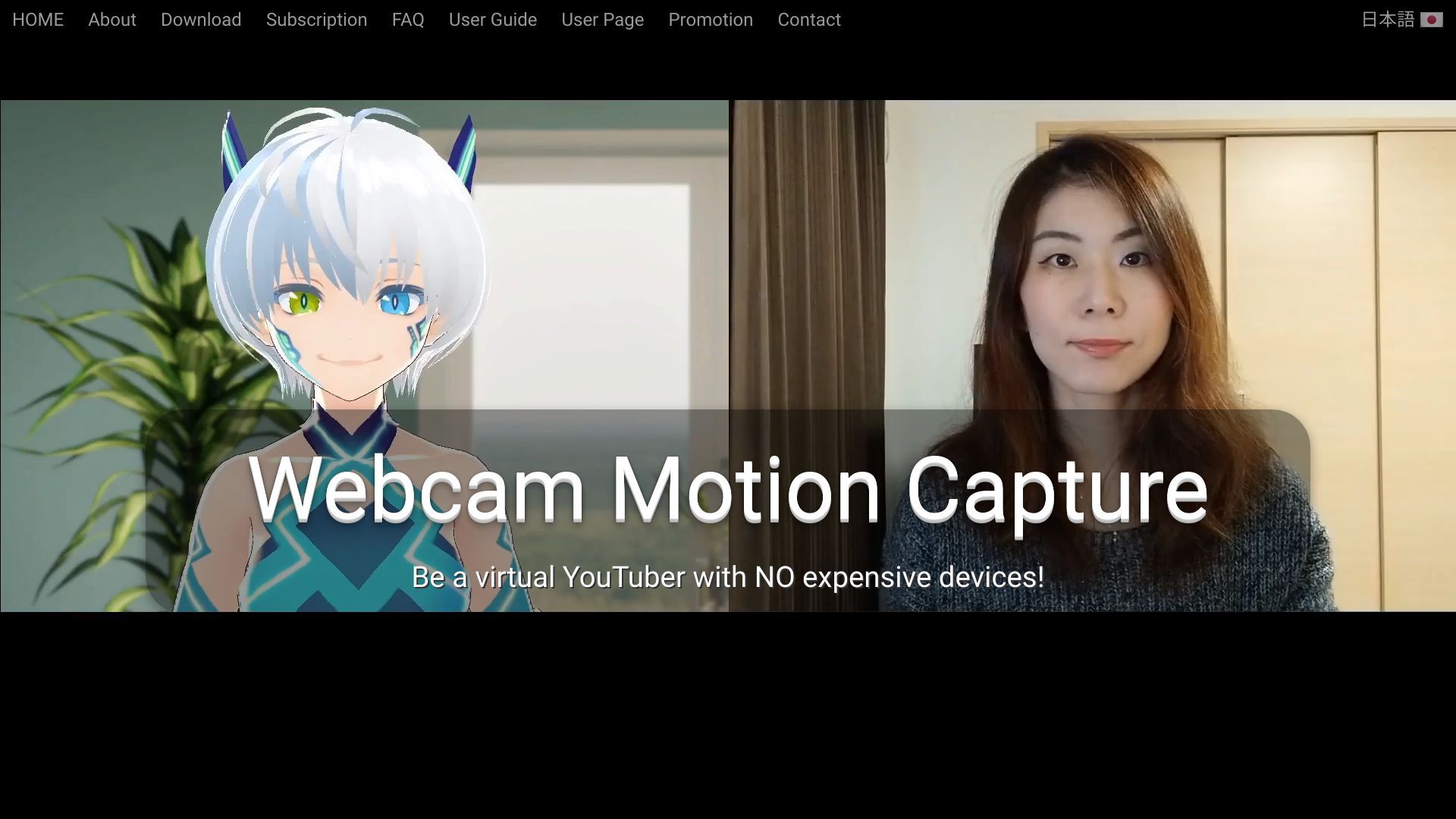 Webcam Motion Capture image