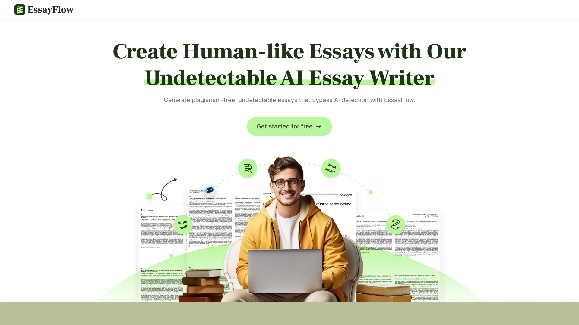 EssayFlow image