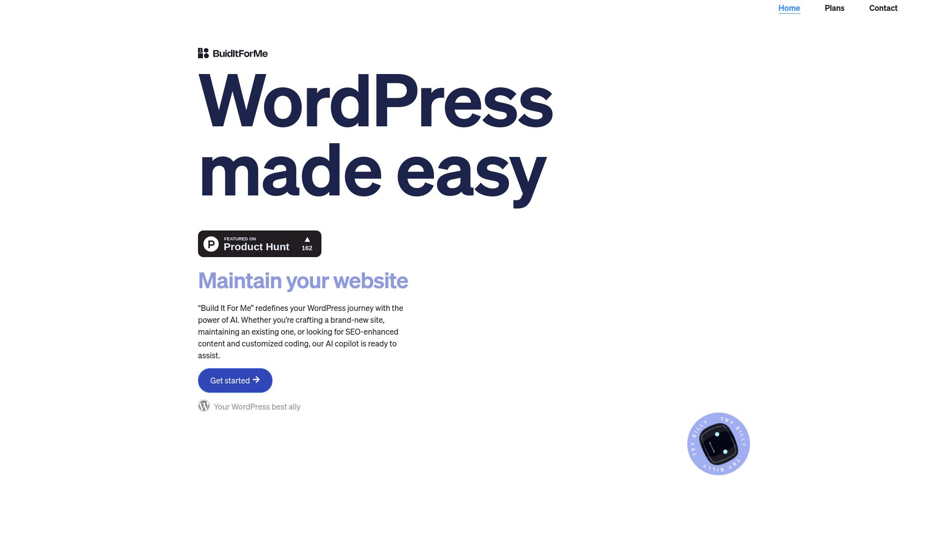 WordPress Copilot image