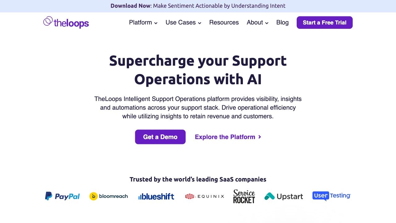 TheLoops AI for CX image