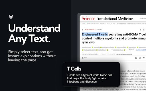 ExplainTXT image