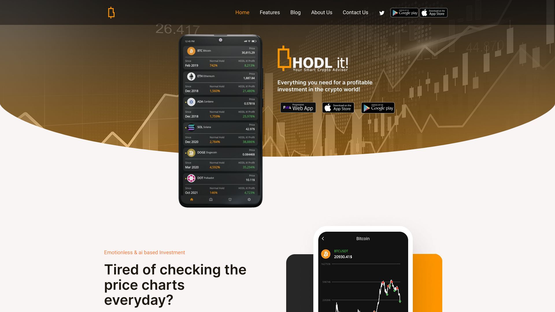 HODL it! image