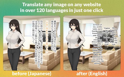 Torii Image Translator image