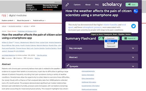Scholarcy image
