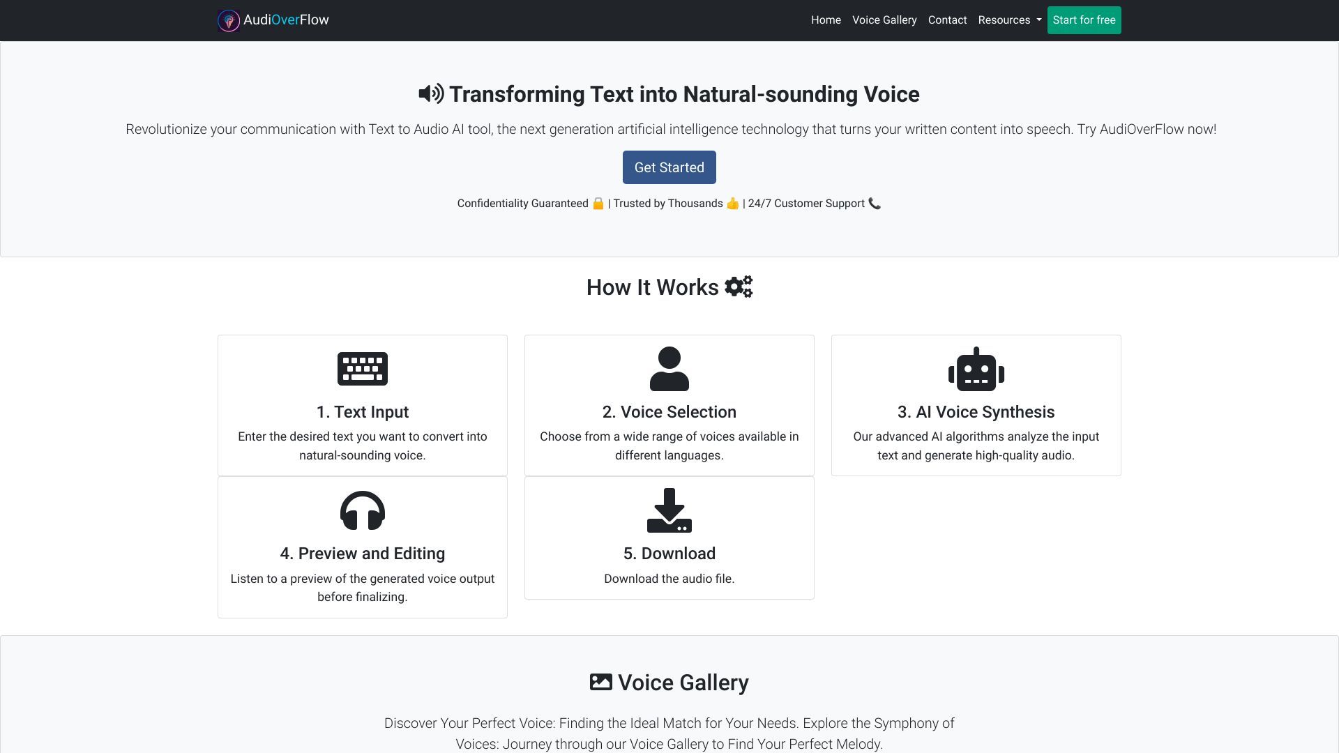 AudiOverFlow image
