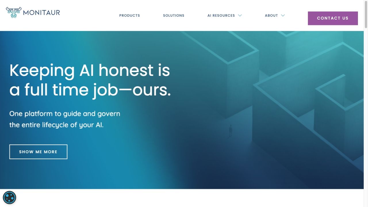 Monitaur - AI Governance Software image