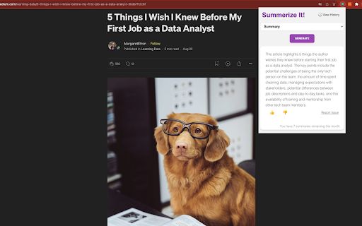 Summerize.ai image