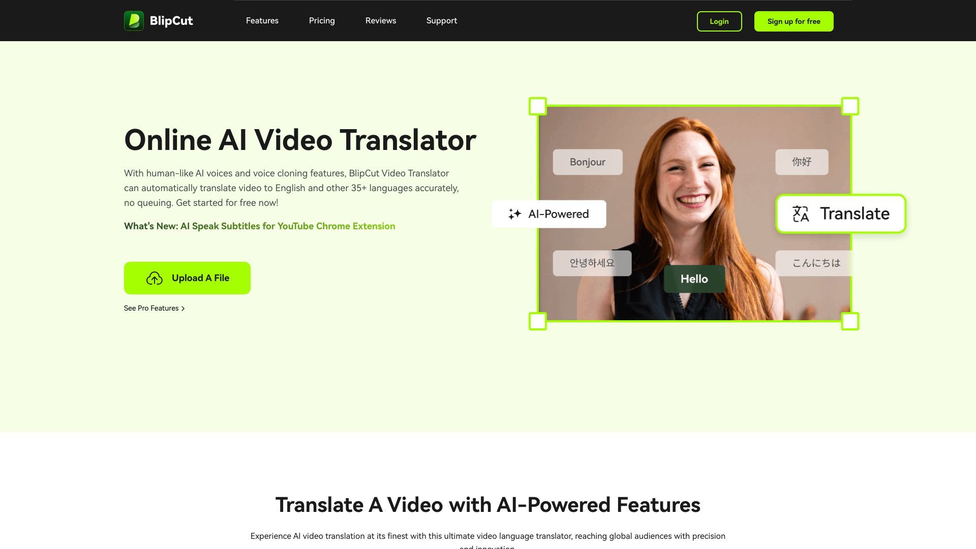 BlipCut AI Video Translator image