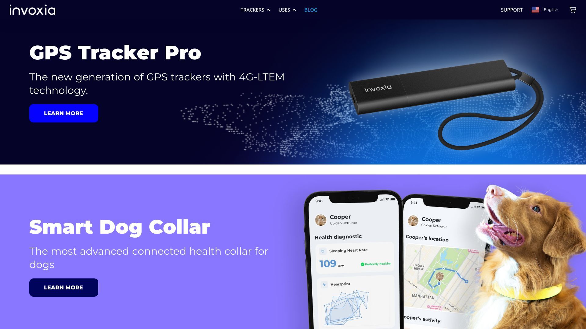 Invoxia image