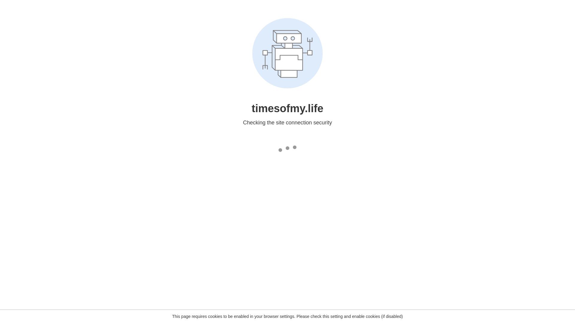 Times of My Life image