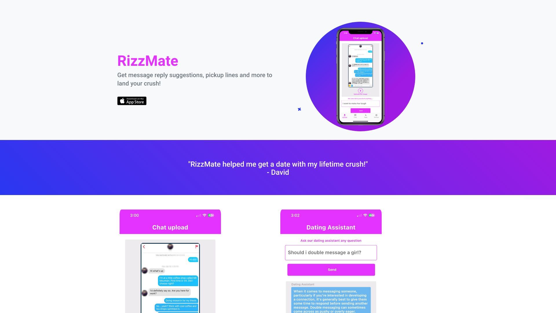 Rizzmate image