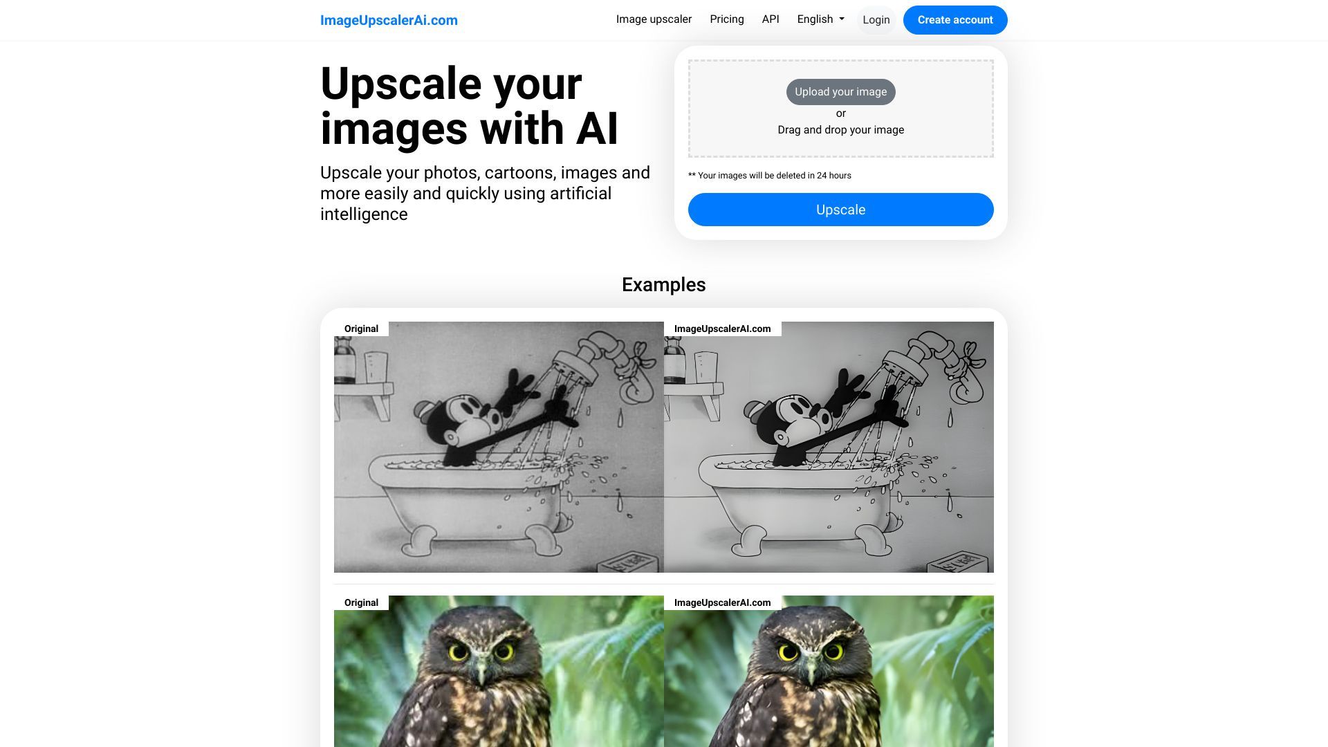 ImageUpscalerAI.com image