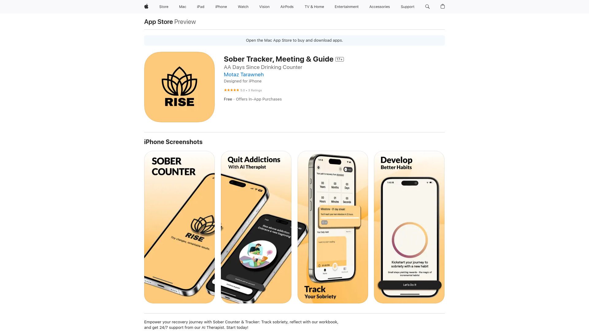Sober Counter & Therapy - Rise image