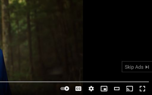 AdSkipper image