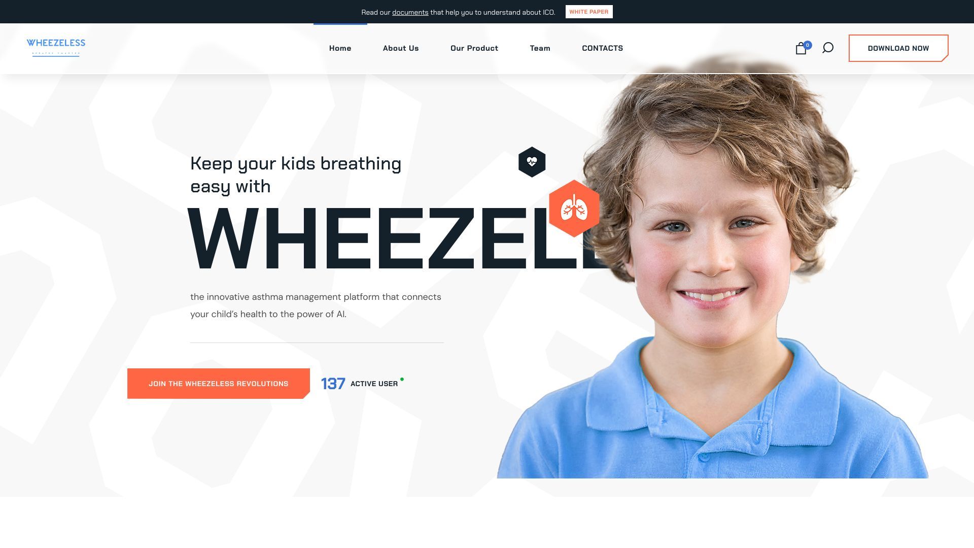 Wheezeless image