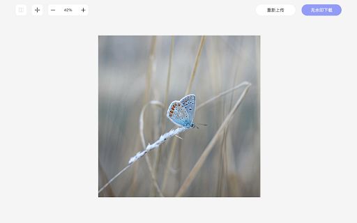 AI Watermark Remover image
