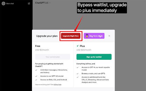 Chatgpt Plus Waitlist Skipper image