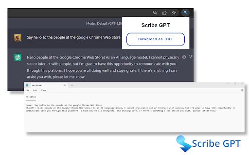Scribe GPT image