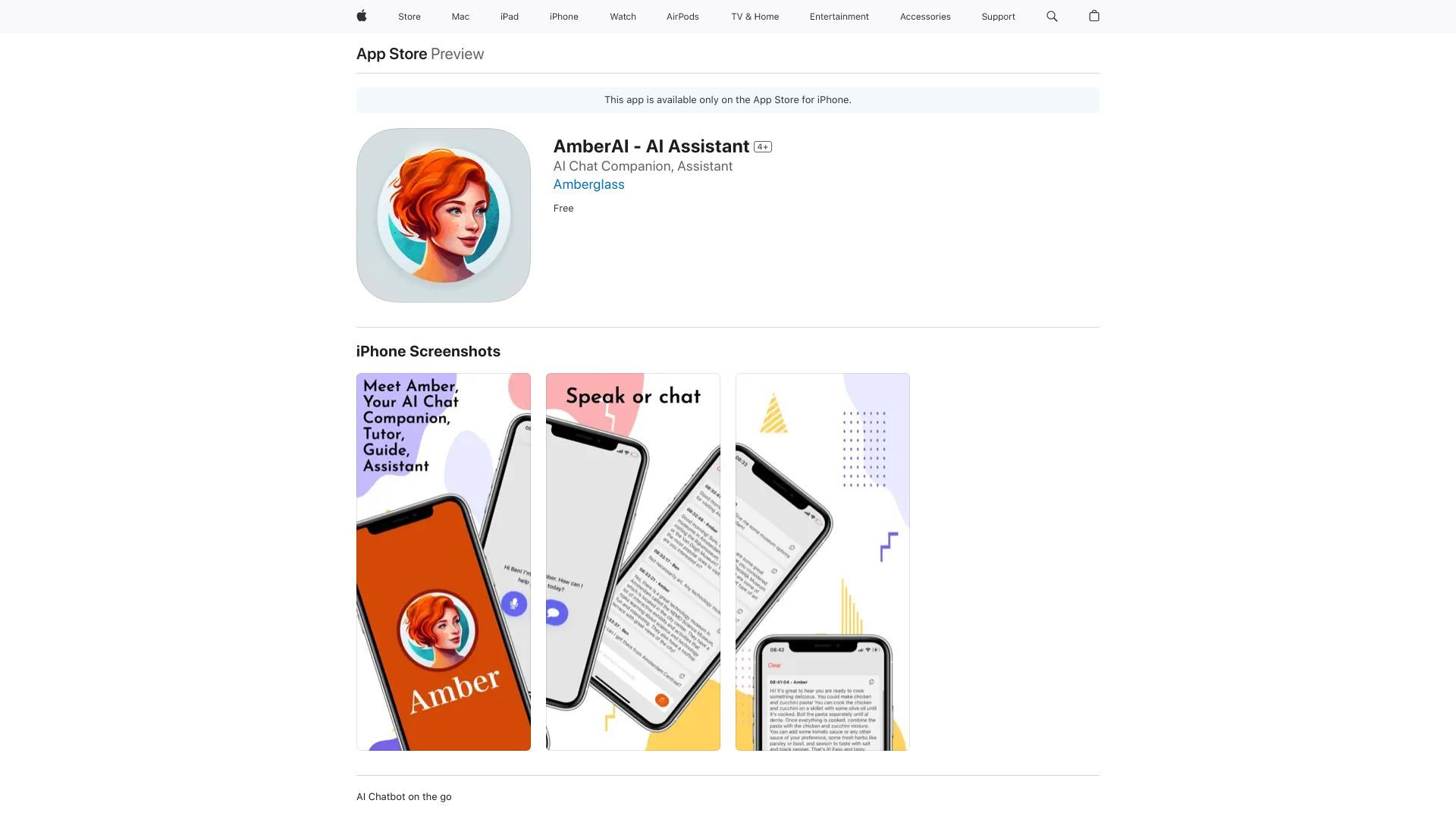 AmberAI image