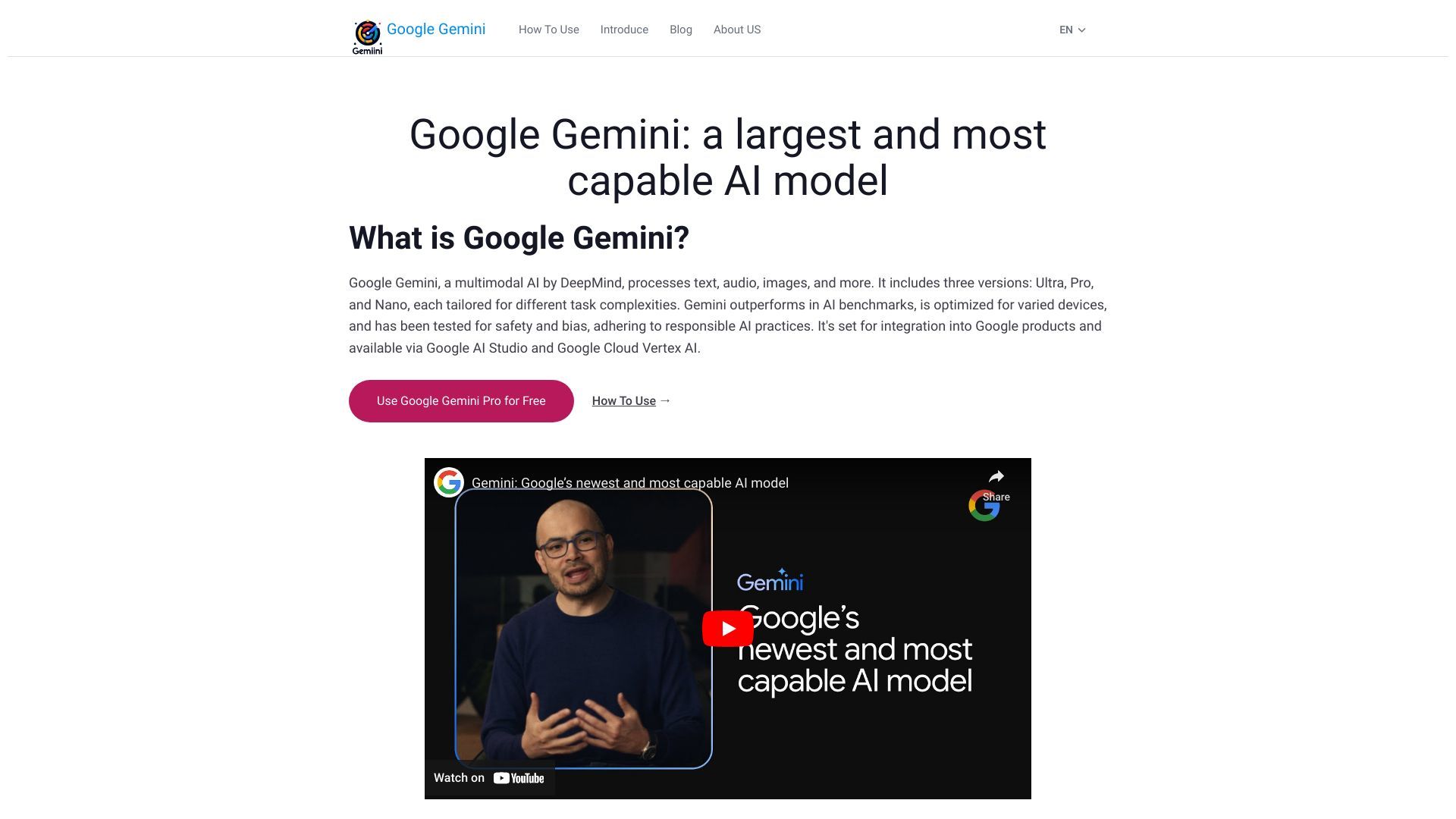 Google Gemini Pro image