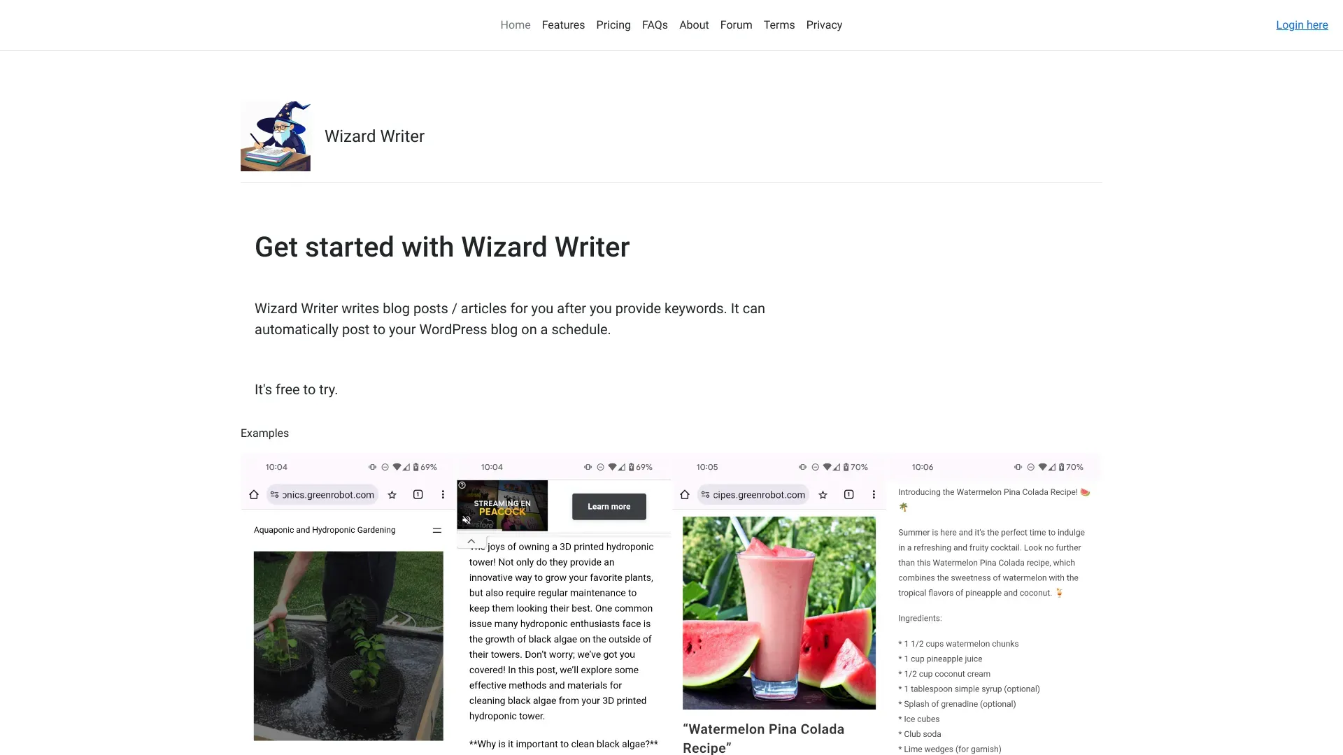Wizard Writer image