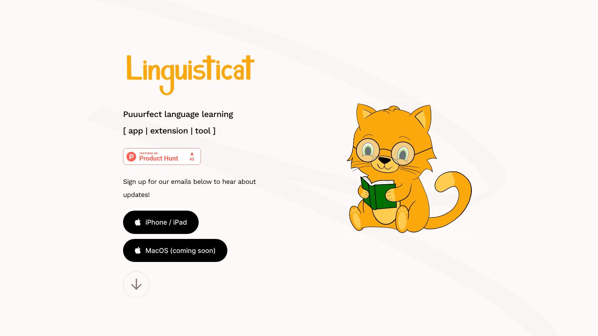 Linguisticat image