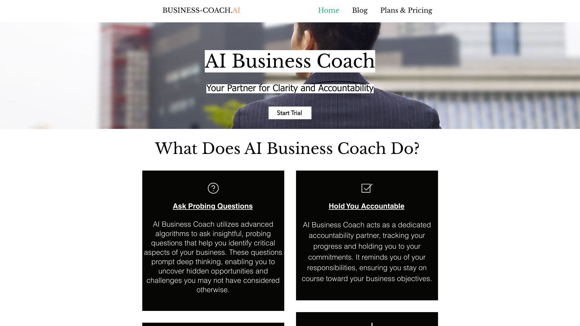 AI Business Coach image