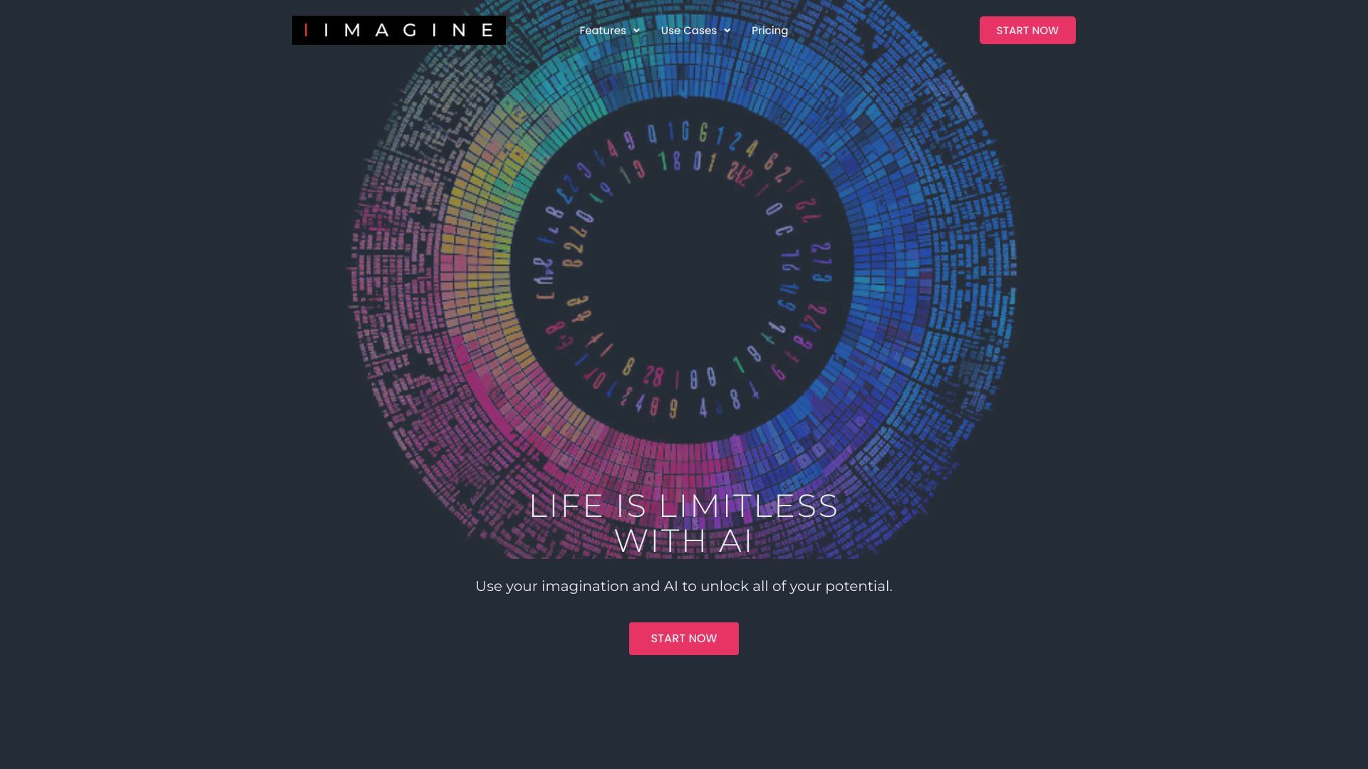 IIMAGINE image