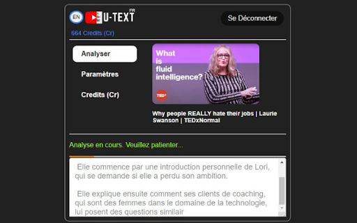 YouTube Video Summarizer Extension image