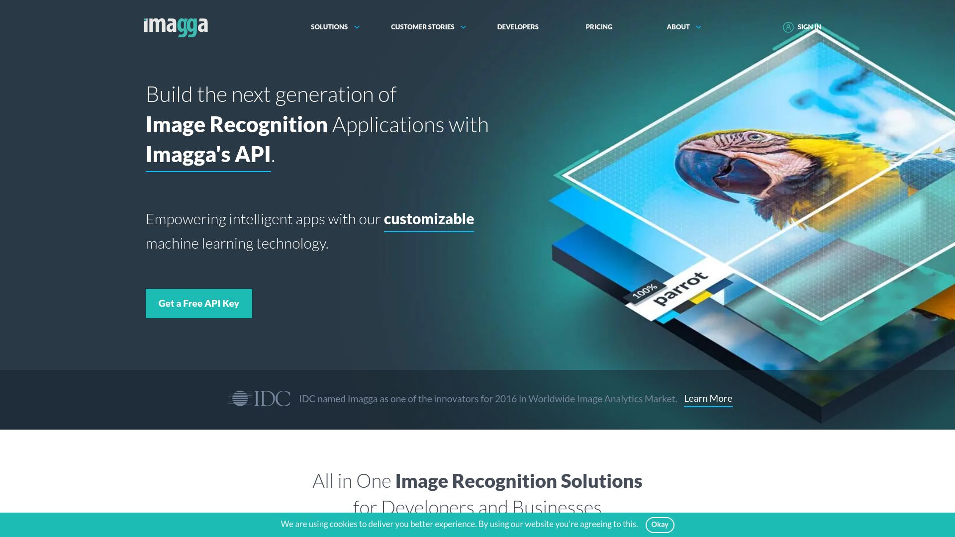 Imagga Image Recognition API image