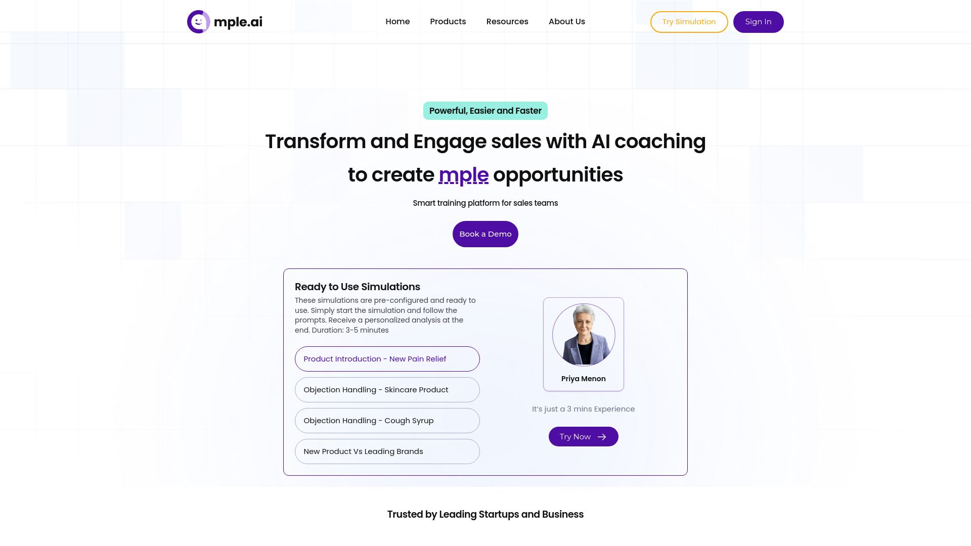 mple.ai image