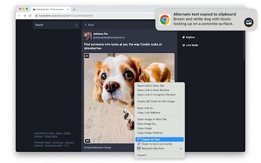 Alt Text Creator image