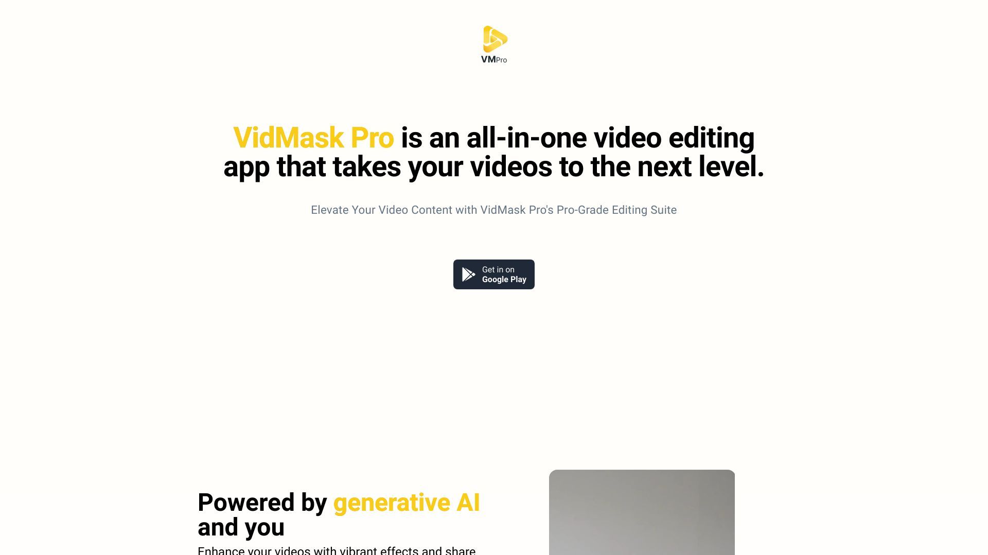 VidMaskPro image