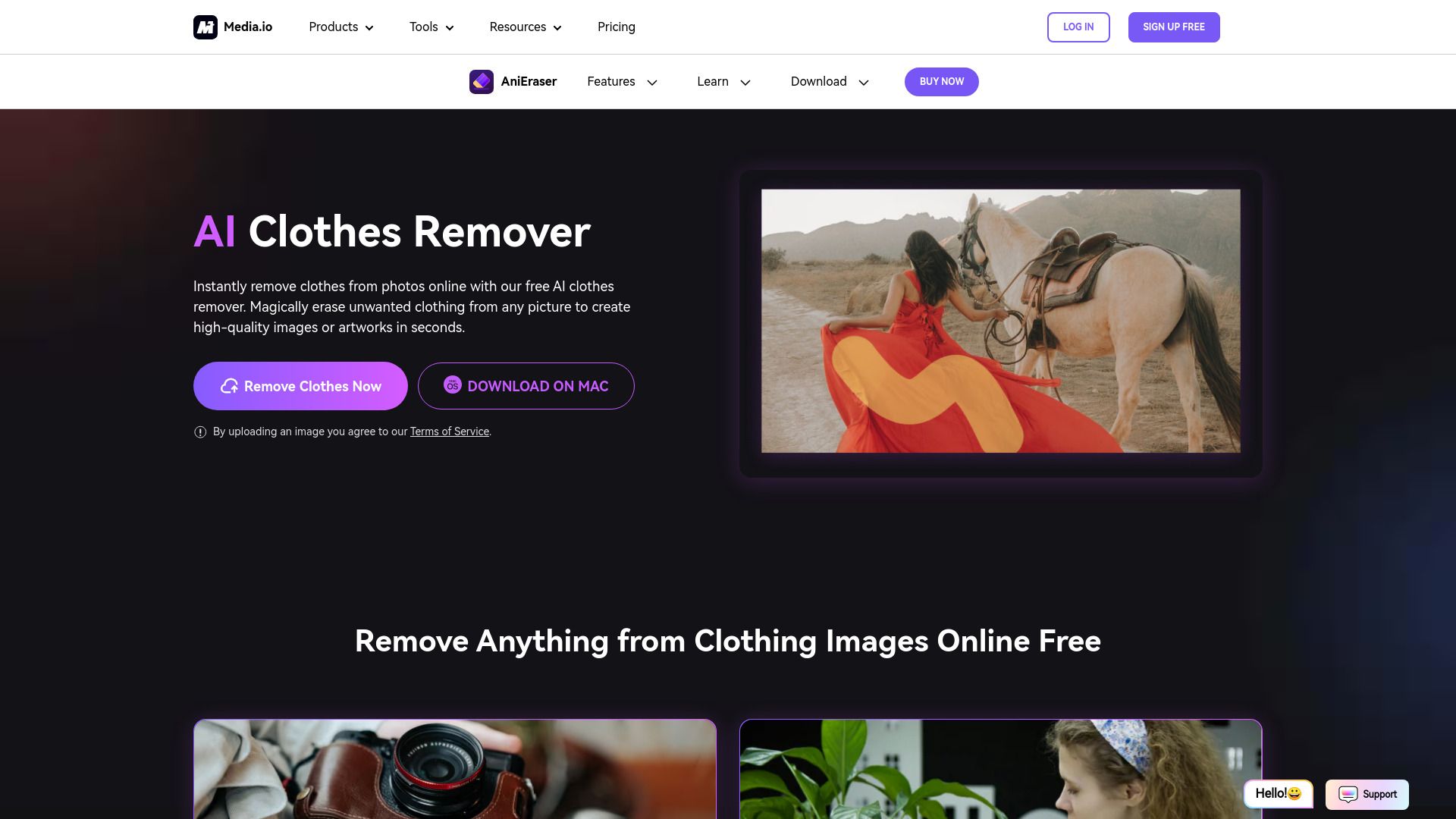 AI Clothes Remover image