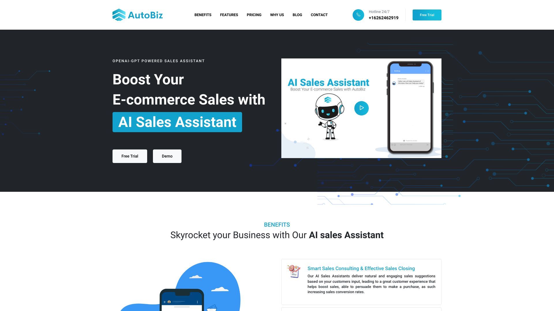 AutoBiz image