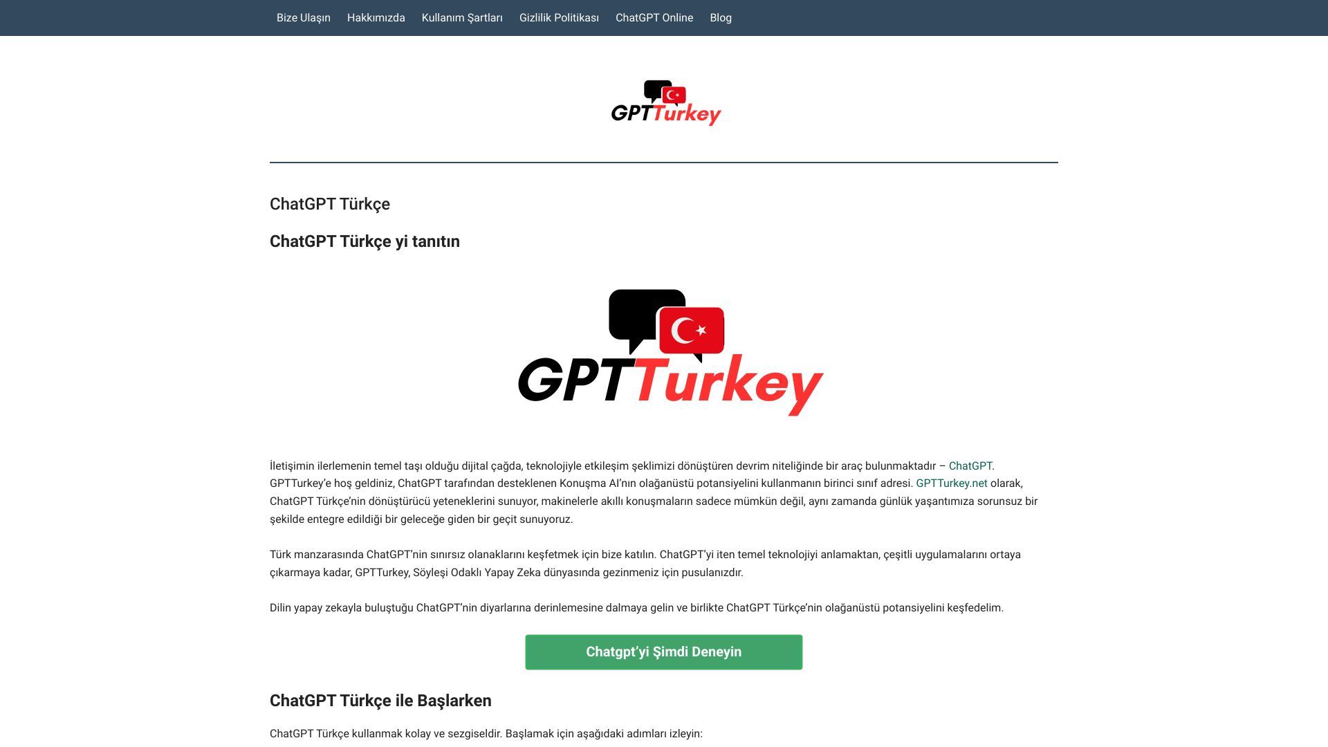 GPTTurkey.net image