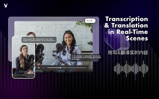 ViiTor Real-time Translation Plugin image