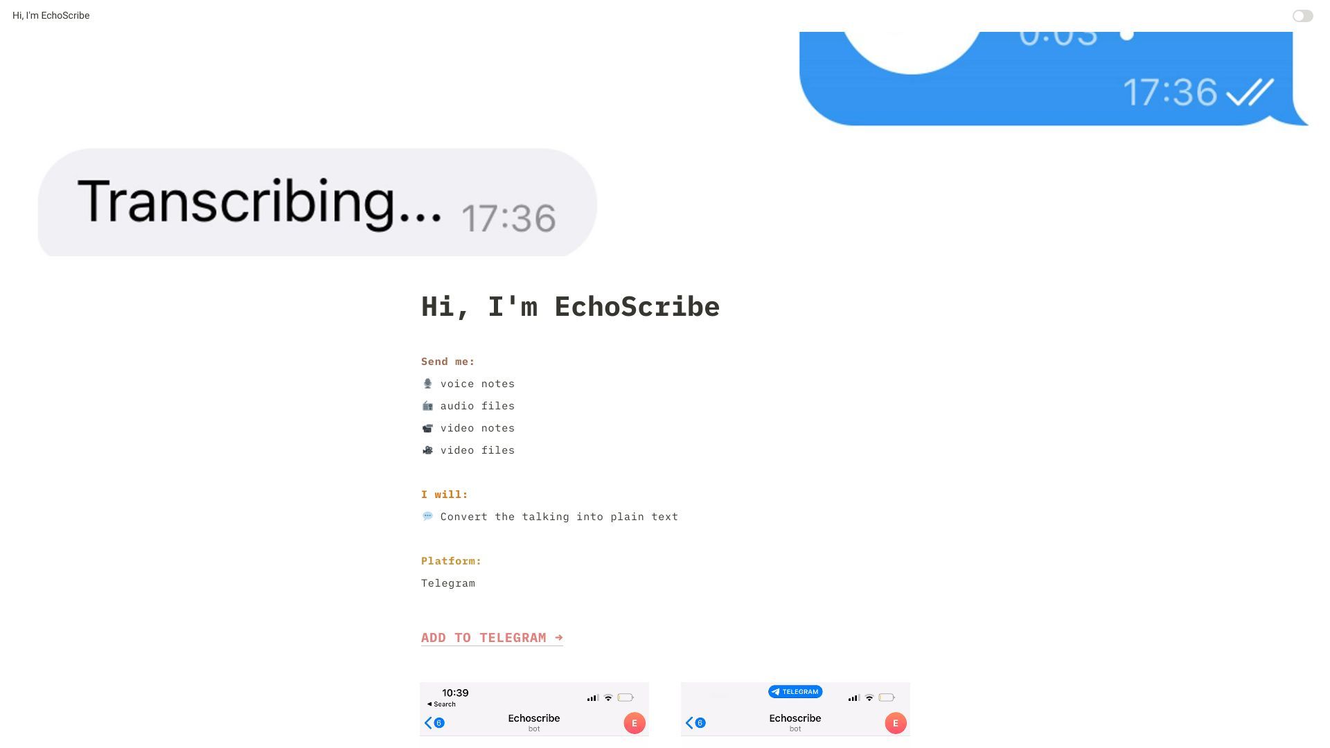 EchoScribe image